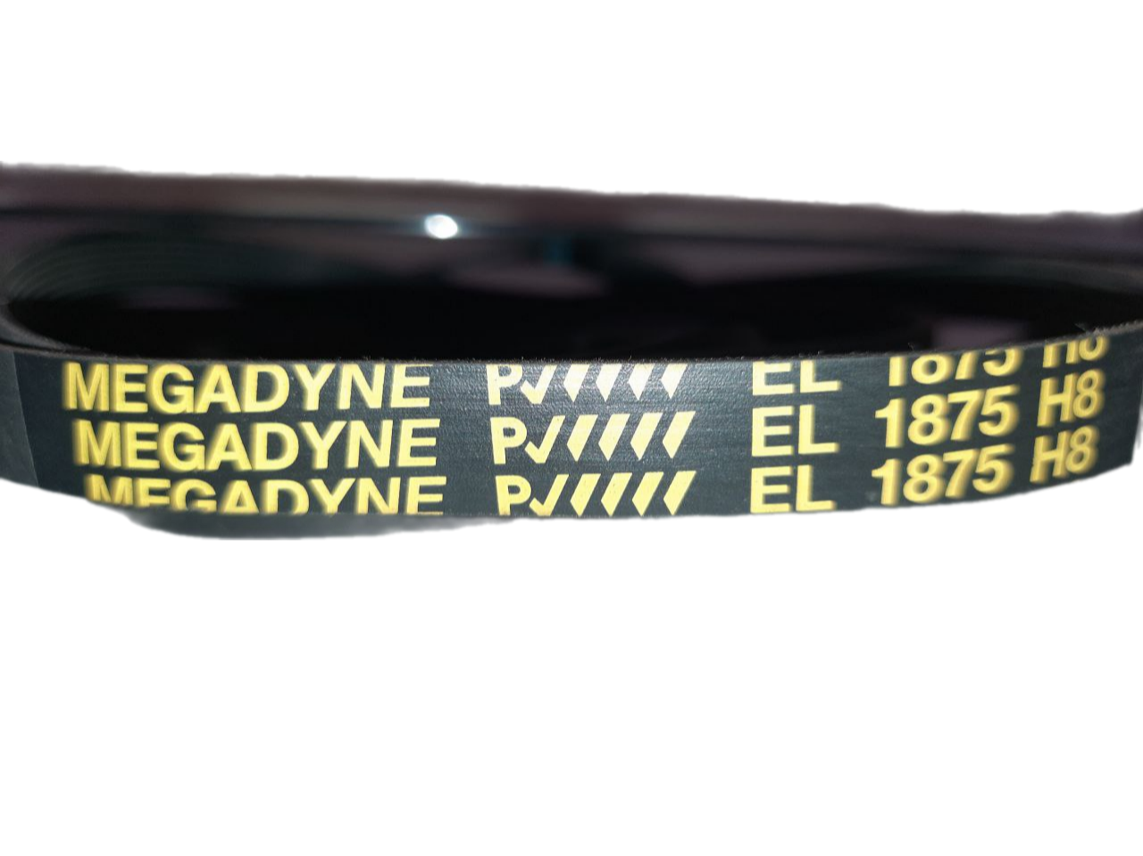  BLH711UN Ремень сушильных машин 1875 H8 EL Megadyne (1810mm) (CANDY 46000003) 2691,BLH711UN,52X1913, BLH119UN